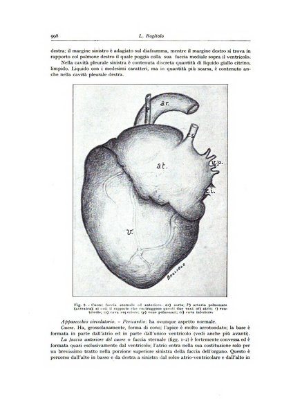 Archivio italiano di anatomia e istologia patologica