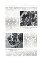 giornale/PUV0110165/1934/unico/00001105