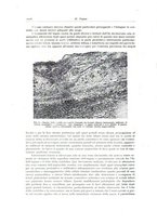 giornale/PUV0110165/1934/unico/00001118