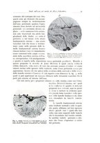 giornale/PUV0110165/1935/unico/00000019