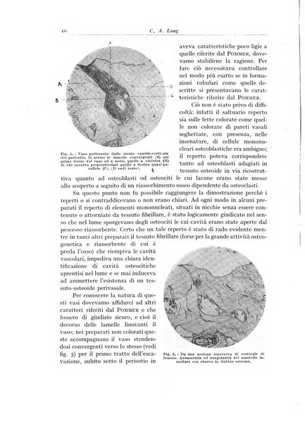 Archivio italiano di anatomia e istologia patologica