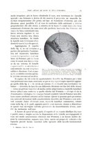 giornale/PUV0110165/1935/unico/00000023