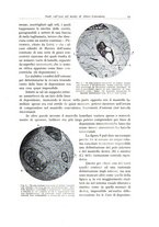 giornale/PUV0110165/1935/unico/00000025