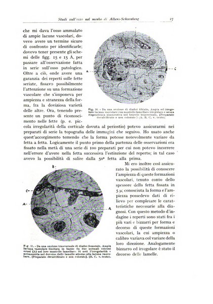 Archivio italiano di anatomia e istologia patologica