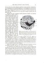 giornale/PUV0110165/1935/unico/00000037