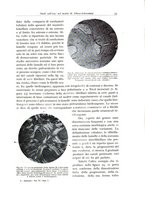 giornale/PUV0110165/1935/unico/00000039
