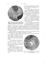 giornale/PUV0110165/1935/unico/00000040