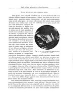 giornale/PUV0110165/1935/unico/00000041
