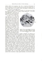 giornale/PUV0110165/1935/unico/00000043