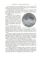 giornale/PUV0110165/1935/unico/00000059