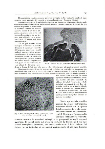 Archivio italiano di anatomia e istologia patologica