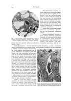 giornale/PUV0110165/1935/unico/00000250