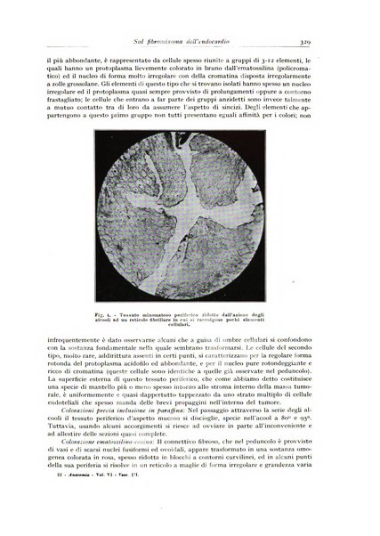 Archivio italiano di anatomia e istologia patologica