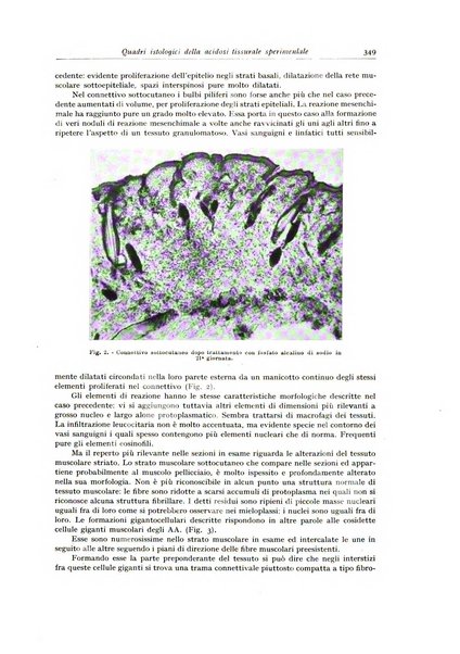 Archivio italiano di anatomia e istologia patologica