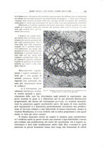 giornale/PUV0110165/1935/unico/00000367