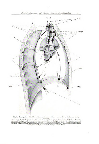 Archivio italiano di anatomia e istologia patologica