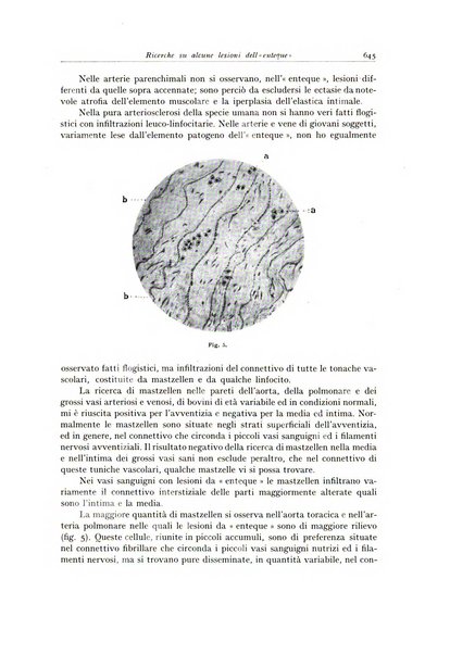 Archivio italiano di anatomia e istologia patologica