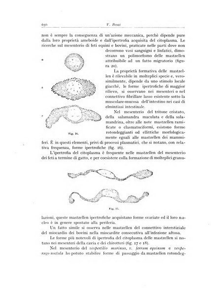 Archivio italiano di anatomia e istologia patologica