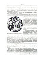 giornale/PUV0110165/1935/unico/00000724