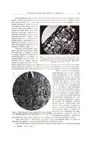 giornale/PUV0110165/1936/unico/00000055