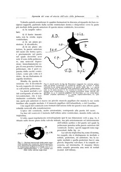 Archivio italiano di anatomia e istologia patologica