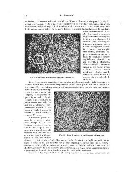 Archivio italiano di anatomia e istologia patologica