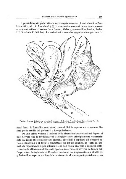 Archivio italiano di anatomia e istologia patologica