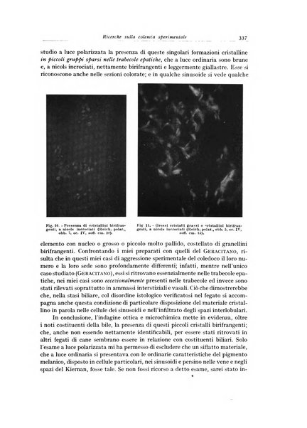 Archivio italiano di anatomia e istologia patologica