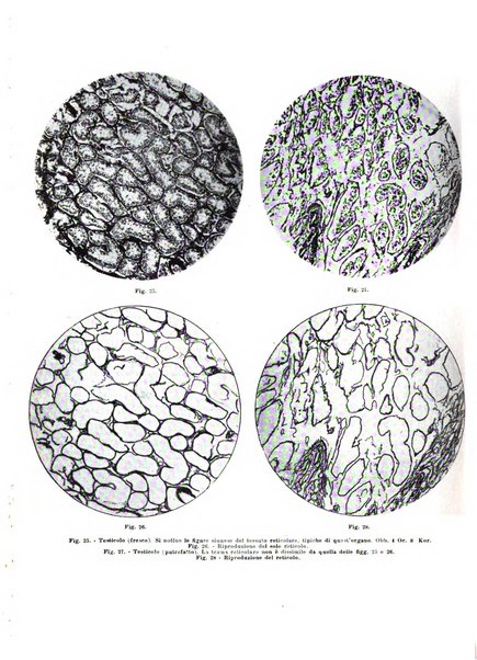 Archivio italiano di anatomia e istologia patologica