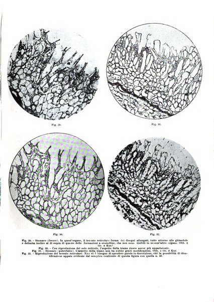 Archivio italiano di anatomia e istologia patologica