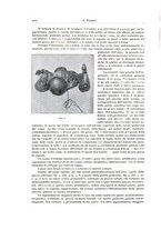 giornale/PUV0110165/1936/unico/00000450