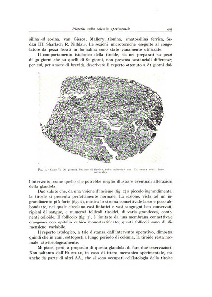 Archivio italiano di anatomia e istologia patologica