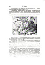 giornale/PUV0110165/1936/unico/00000502