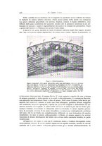 giornale/PUV0110165/1936/unico/00000560