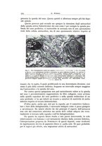 giornale/PUV0110165/1936/unico/00000612