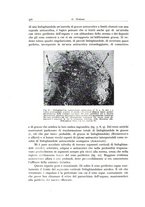 giornale/PUV0110165/1936/unico/00000614