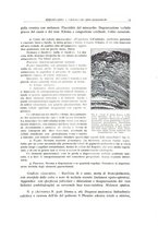 giornale/PUV0110165/1937/unico/00000021