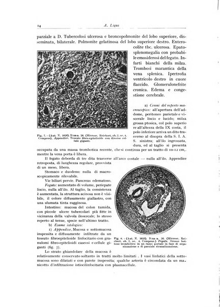 Archivio italiano di anatomia e istologia patologica