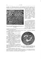 giornale/PUV0110165/1937/unico/00000022