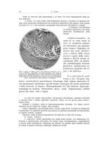 giornale/PUV0110165/1937/unico/00000024