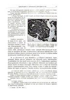 giornale/PUV0110165/1937/unico/00000025