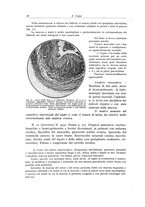 giornale/PUV0110165/1937/unico/00000026