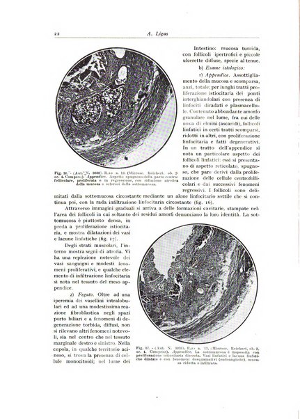 Archivio italiano di anatomia e istologia patologica