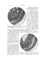 giornale/PUV0110165/1937/unico/00000030