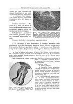 giornale/PUV0110165/1937/unico/00000031