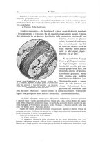 giornale/PUV0110165/1937/unico/00000032