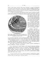 giornale/PUV0110165/1937/unico/00000034