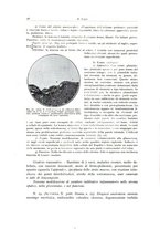 giornale/PUV0110165/1937/unico/00000036