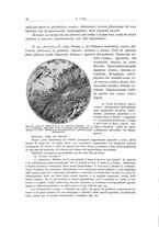 giornale/PUV0110165/1937/unico/00000038