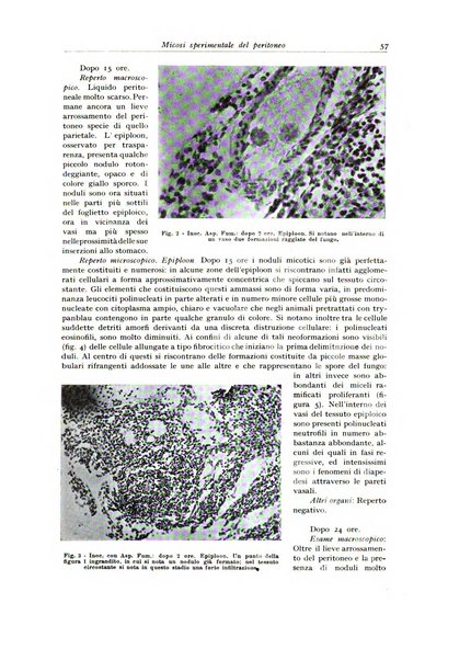 Archivio italiano di anatomia e istologia patologica